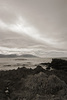 View from Kaikoura