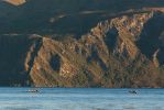 Rowing on Lake Wanaka